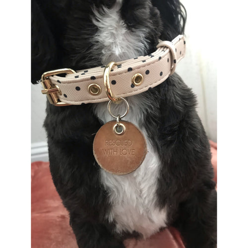 The Dainty Girl Collar